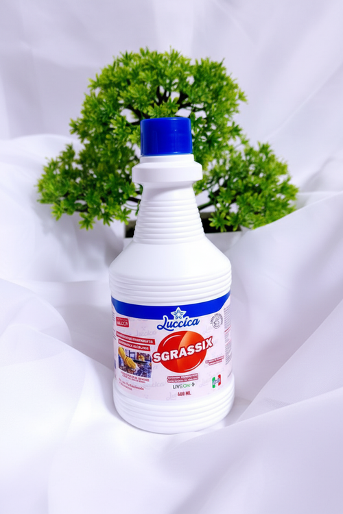 Luccica Sgrassix 600ml produkto nuotrauka